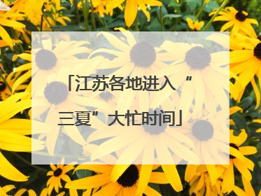 江苏各地进入“三夏”大忙时间