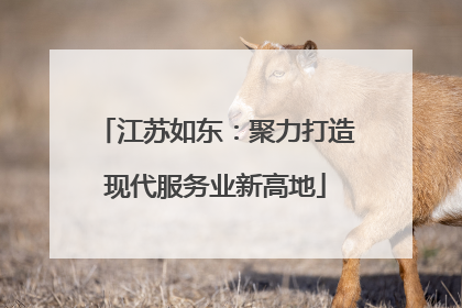 江苏如东：聚力打造现代服务业新高地
