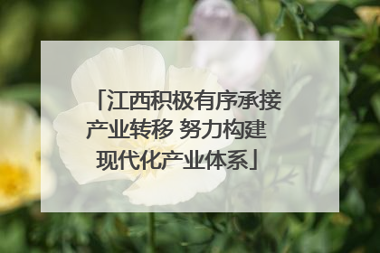 江西积极有序承接产业转移 努力构建现代化产业体系