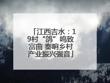 江西吉水：19村“鸽”鸣致富曲 奏响乡村产业振兴强音