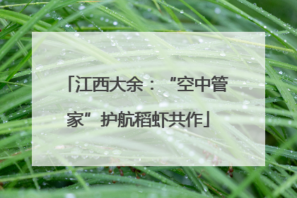 江西大余：“空中管家”护航稻虾共作