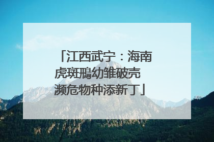 江西武宁：海南虎斑鳽幼雏破壳 濒危物种添新丁
