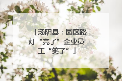 汤阴县：园区路灯“亮了”企业员工“笑了”