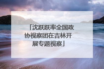 沈跃跃率全国政协视察团在吉林开展专题视察