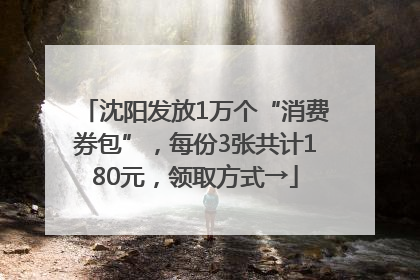 沈阳发放1万个“消费券包”，每份3张共计180元，领取方式→