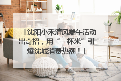 沈阳小禾清风端午活动出奇招，用“一杯米”引爆沈城消费热潮！