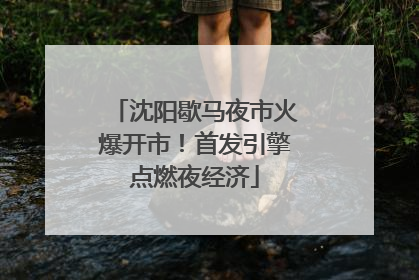 沈阳歇马夜市火爆开市！首发引擎点燃夜经济
