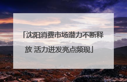 沈阳消费市场潜力不断释放 活力迸发亮点频现