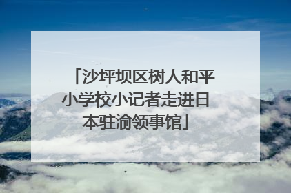 沙坪坝区树人和平小学校小记者走进日本驻渝领事馆