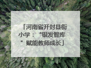 河南省开封县街小学：“银发智库”赋能教师成长