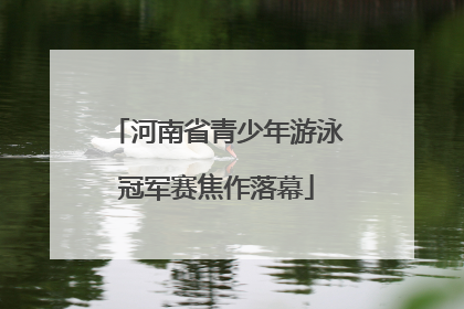 河南省青少年游泳冠军赛焦作落幕