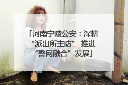 河南宁陵公安：深耕“派出所主防” 推进“警网融合”发展