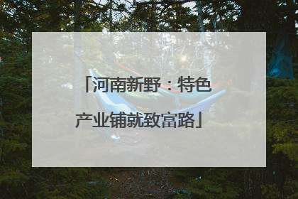 河南新野：特色产业铺就致富路