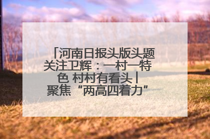 河南日报头版头题关注卫辉：一村一特色 村村有看头 ︳聚焦“两高四着力”·一“县”观察