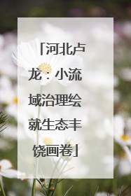 河北卢龙：小流域治理绘就生态丰饶画卷
