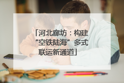河北廊坊：构建“空铁陆海”多式联运新通道