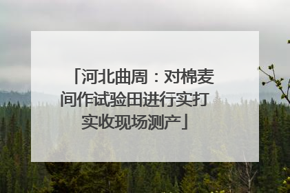 河北曲周：对棉麦间作试验田进行实打实收现场测产