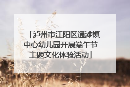 泸州市江阳区通滩镇中心幼儿园开展端午节主题文化体验活动