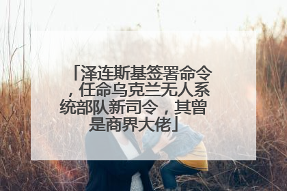 泽连斯基签署命令，任命乌克兰无人系统部队新司令，其曾是商界大佬