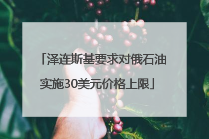 泽连斯基要求对俄石油实施30美元价格上限