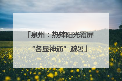 泉州：热辣阳光霸屏 “各显神通”避暑