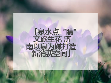 泉水点“睛” 文旅生花 济南以泉为媒打造新消费空间