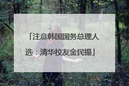 注意韩国国务总理人选：清华校友金民锡
