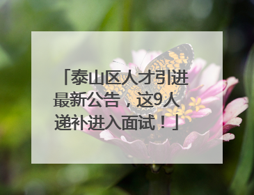 泰山区人才引进最新公告，这9人递补进入面试！