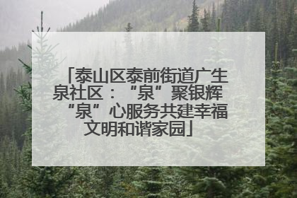 泰山区泰前街道广生泉社区：“泉”聚银辉“泉”心服务共建幸福文明和谐家园