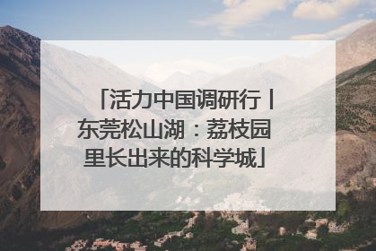 活力中国调研行丨东莞松山湖：荔枝园里长出来的科学城