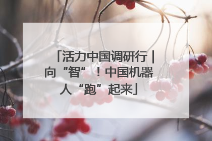 活力中国调研行｜向“智”！中国机器人“跑”起来