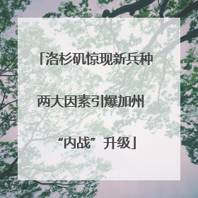 洛杉矶惊现新兵种 两大因素引爆加州“内战”升级