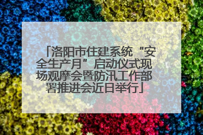 洛阳市住建系统“安全生产月”启动仪式现场观摩会暨防汛工作部署推进会近日举行