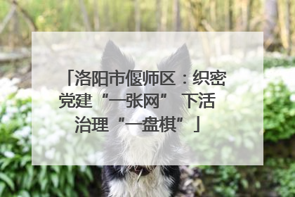 洛阳市偃师区：织密党建“一张网” 下活治理“一盘棋”