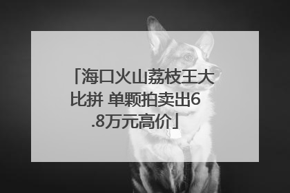 海口火山荔枝王大比拼 单颗拍卖出6.8万元高价