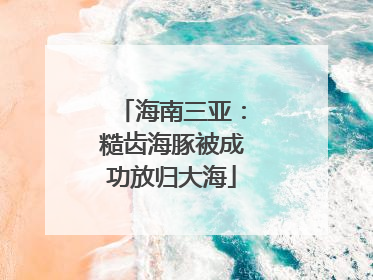 海南三亚：糙齿海豚被成功放归大海