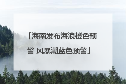 海南发布海浪橙色预警 风暴潮蓝色预警