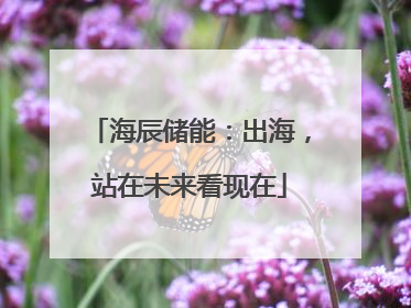 海辰储能：出海，站在未来看现在
