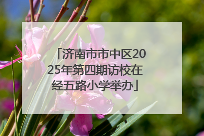 济南市市中区2025年第四期访校在经五路小学举办