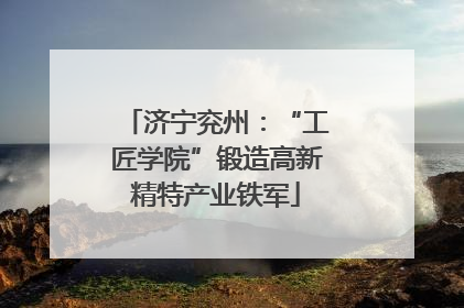 济宁兖州：“工匠学院”锻造高新精特产业铁军