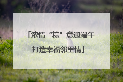 浓情“粽”意迎端午 打造幸福邻里情