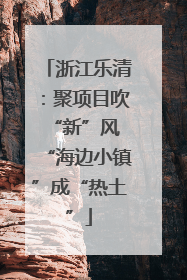 浙江乐清：聚项目吹“新”风 “海边小镇”成“热土”