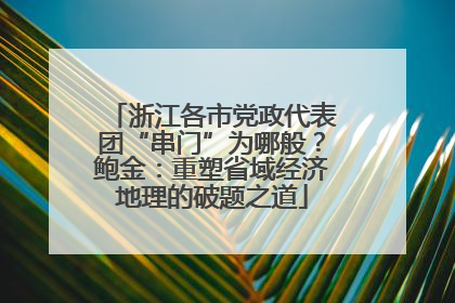 浙江各市党政代表团“串门”为哪般？鲍金：重塑省域经济地理的破题之道