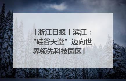 浙江日报丨滨江：“硅谷天堂”迈向世界领先科技园区
