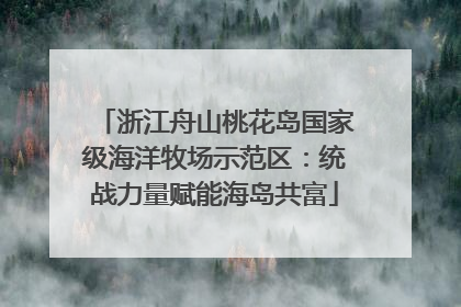 浙江舟山桃花岛国家级海洋牧场示范区：统战力量赋能海岛共富