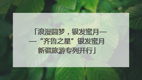 浪漫圆梦，银发蜜月——“齐鲁之星”银发蜜月新疆旅游专列开行