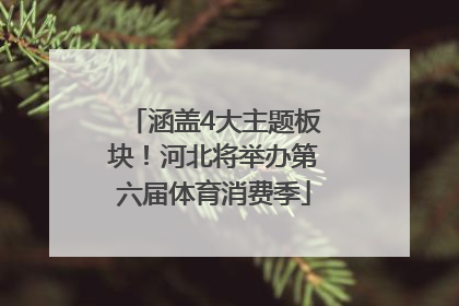 涵盖4大主题板块！河北将举办第六届体育消费季
