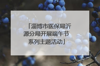 淄博市医保局沂源分局开展端午节系列主题活动