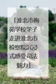 淮北市梅苑学校学子走进淮北市检察院沉浸式感受司法魅力
