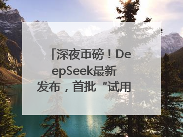 深夜重磅！DeepSeek最新发布，首批“试用体验”出炉→